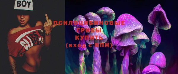 2c-b Абинск
