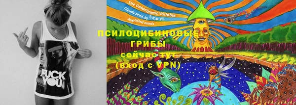 2c-b Абинск